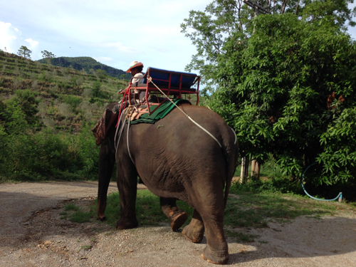 タイで早期リタイア・ホアヒンブログ