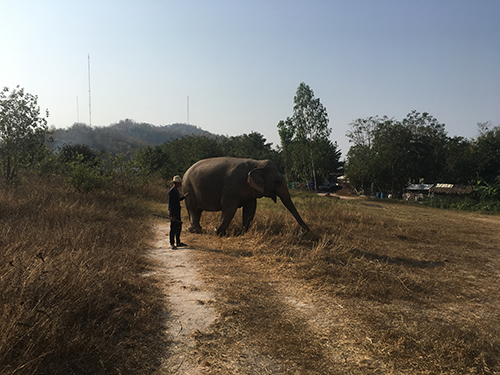 タイで早期リタイア・ホアヒンブログ