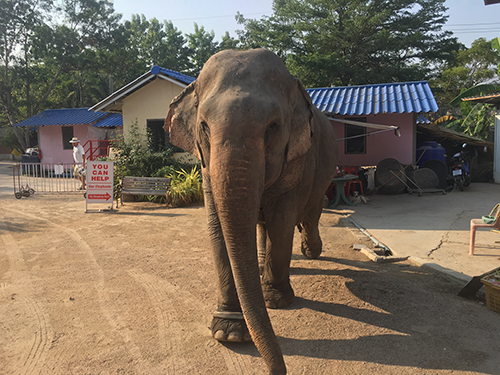 タイで早期リタイア・ホアヒンブログ