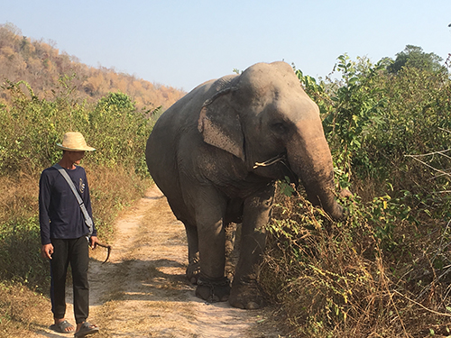 タイで早期リタイア・ホアヒンブログ